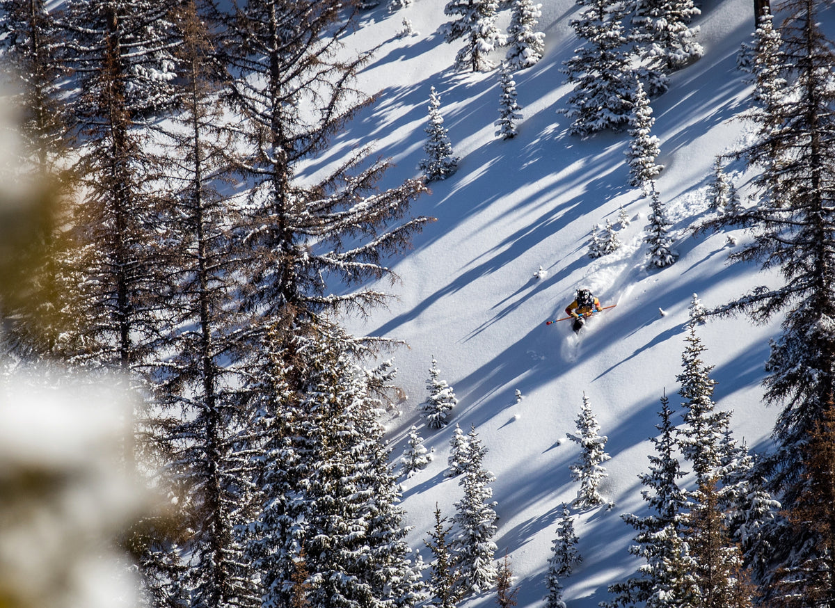 BMFR Backcountry Telemark Ski Binding Bindings